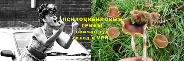 круглые Алексин