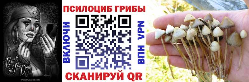 купить закладку  Арсеньев  Галлюциногенные грибы MAGIC MUSHROOMS 